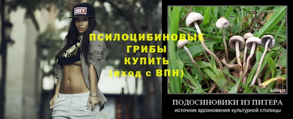 прущие грибы Алексин