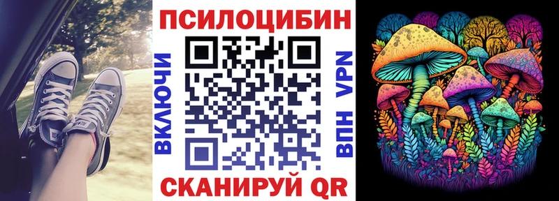Галлюциногенные грибы ЛСД  блэк спрут рабочий сайт  Новая Ладога 